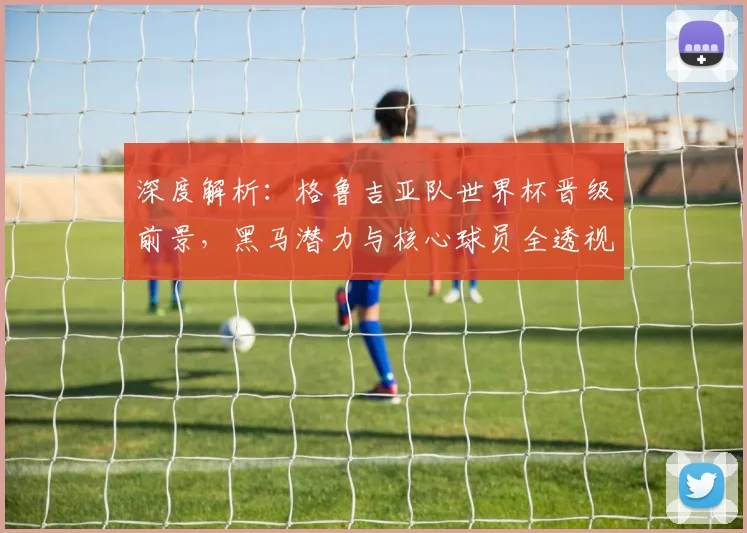 深度解析:格鲁吉亚队世界杯晋级前景,黑马潜力与核心球员全透视