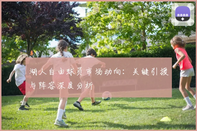 湖人自由球员市场动向:关键引援与阵容深度分析