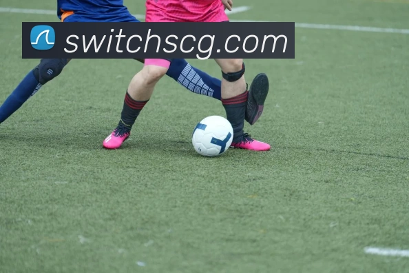 未来规划